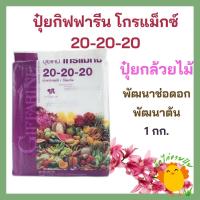 ราคา ปุ๋ยเคมี ปุ๋ยเคมีโกรแม็กซ์ กิฟฟารีน ปุ๋ยกล้วยไม้ สูตรเสมอ 20-20-20 ขนาด 1 กก. ต้นแข็งแรง เร่งดอก ขยายช่อ ดอกแข็งแรง (10937003008)