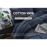 ราคา ชุดผ้าปูที่นอน COTTON 100% (23668529497)