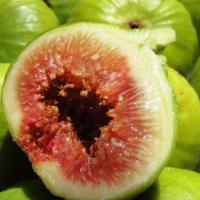 ราคา 10 เมล็ด มะเดื่อฝรั่ง Figs สายพันธุ์ Calimyrna มะเดื่อฝรั่ง ลูกฟิก (4593927883)