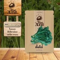 ราคา (ซื้อ1แถม1)เมล็ดพันธุ์ตั้งโอ๋ ตั้งเขียวสวน เมล็ดพันธุ์ออร์แกนิค เมล็ดพันธุ์หายาก ชุดปลูกผัก (49006784441)