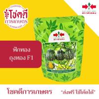 ราคา ฟักทอง ถุงทอง บัตเตอร์นัท เนื้อเนียนนุ่ม ใหม่ เมล็ดพันธุ์ ฟักทอง ลูกผสม ตราศรแดง บรรจุ 200/500 เมล็ด (54400729217)