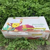 ราคา มันหวานญี่ปุ่น มันหวานนำเข้า (2938590117)