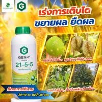 ราคา ปุ๋ยน้ำ 21-5-5 สูตรบำรุงต้น ใบ (ขนาด 1 ลิตร) เจนวาย (28736135301)