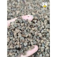ราคา เมล็ดพันธุ์กระเจี๊ยบแดง ซูดาน จากสวนเพชรบุรี (25351918141)