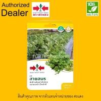 ราคา ผักซอง เมล็ดพันธุ์ ผักชีสายสมร ตราศรแดง (7930071120)