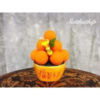 ราคา ฟรีค่าจัดส่ง l ส้ม ส้มประดิษฐ์ ส้มปลอม ซิ่วท้อ ซิ่วท้อประดิษฐ์ ซิ่วท้อปลอม กระถางต้นส้ม ผลไม้มงคล ผลไม้มงคลประดิษฐ์ (10091042376)