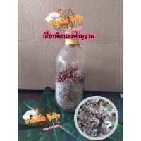 ราคา เชื้อเห็ดนางฟ้าภูฐาน 5ขวด เชื้อเห็ดคุณภาพ (10344805106)