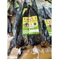 ราคา ปลาดุกร้าเฉลา ปลาดุกร้ากางมุ้ง สินค้าOTOPพัทลุง (41079771647)