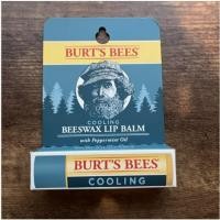 ราคา Burts Bees Mens Cooling Lip Balm Blister Lip Balm Men 0.15 oz (26308432119)