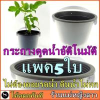 ราคา แพค5ใบ กระถาง รดน้ำ อัติโนมัติ 5นิ้ว กลม ดูดน้ำ พลาสติก สี ปลูก สลัด ผัก เมล็ด ต้นไม้ แคคตัส ข้าวสาลี ขาว อิฐ เหลี่ยม (6340413401)