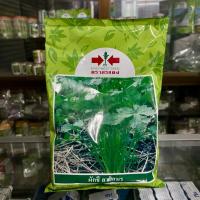 ราคา ผักชี สายสมร (ศรแดง) ขนาด 350 กรัม (41620438639)