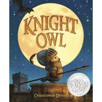ราคา หนังสืออังกฤษใหม่ Knight Owl [Hardcover] (40069281248)