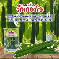 ราคา อินทรีย์็ด ใหม่็ด ใหม่็ดบวบเหลี่ยม วิกเกอร์เอ F1 ตราศรแดง ขนาด50กรัมและ25ใหม่็ด Luffa seeds ใหม่บวบเหลี่ยม ใหม่ กะเพรา (18577335105)