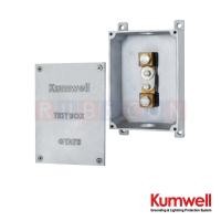 ราคา KUMWELL GYATB-AA อลูมิเนียมกราวด์เทสบ๊อกซ์ (Aluminium Ground Test Box ) ขนาด 215x140x70 mm. Aluminium To Aluminium Co... (54656292671)