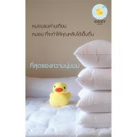 ราคา หมอนขนห่านเทียม 1700 กรัม นุ่ม นอนสบาย สินค้าคุณภาพจากโรงงาน (7743663799)