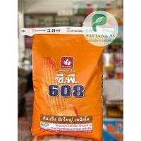 ราคา เมล็ดพันธุ์ข้าวโพด ซี.พี.608 (3.5 หุน) *ขนาด 10 กก. ยืนต้นแกร่ง ฝักใหญ่ ระบบรากดี (26593022159)