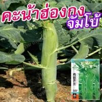 ราคา เมล็ดคะน้าฮ่องกงจัมโบ้ 1,000 เมล็ด เมล็ดพันธุ์คะน้าฮ่องกงจัมโบ้ ต้นใหญ่ โตเร็ว (25208880945)