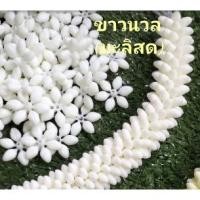 ราคา มะลิ​วงพลาสติก​ วงเล็ก (เสมือน​จริง)​ ถุงใหญ่ (มะลิ​วงร้อยมาลัย สีขาวนวล) ปริมาณ 800 วง ถุงละ 300 บาท ✅ ของแท้! ส่งไว⚡️ (21591413885)