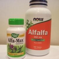 ราคา pre order Now Foods Alfalfa, 650 mg, 250 Tablets (3512511953)