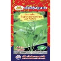 ราคา เมล็ดพันธ์ุ ผักกาดเขียว เชียงกลาง(ผักเจ้าหม่อม) 10 กรัม/ซอง ตราภูเขาทอง (7309017109)