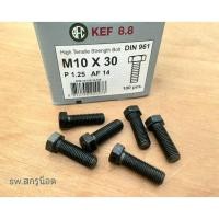 ราคา สกรูน็อตตัวผู้มิลดำเบอร์ 14# ขนาด M10x30mm เกลียวตลอด 1.25mm AF 14 ยี่ห้อ KEF เกรดแข็ง 8.8 แข็งแรงได้มาตรฐานน็อตไทย (43877534379)
