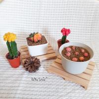 ราคา พร้อมส่ง พาเลทไม้ พาเลทไม้จิ๋ว พาเลทรองกระถามต้นไม้ ถาดรองต้นไม้ วางของ (13325305620)
