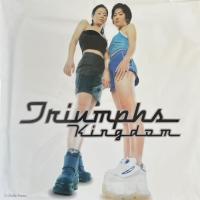 ราคา แผ่นเสียง LP Triumphs Kingdom TK แผ่นซีล ใหม่ ( รันนัมเบอร์ ) (22667290715)