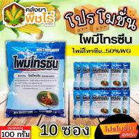 ราคา โปรโมชั่น ไพมีโทรซีน (ตราไก่เกษตร) 100กรัม*10ซอง กำจัดเพลี้ย เพลี้ยกระโดด เพลี้ยจั๊กจั่น (23263848638)