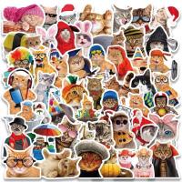 ราคา สติ๊กเกอร์ น้องแมวน่ารัก 485 น้องแมว 50ชิ้น น้องน่ารักมาก น้อง แมว น่ารัก cat น้อน แมว เหมียว แมวส้ม สติ๊กเกอร์แมว แ ม ว (23540275503)