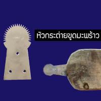 ราคา ที่ขูดมะพร้าว กระต่ายขูดมะพร้าว หัวขูดมะพร้าว สแตนเลสอย่างดี ขูดมะพร้าว (3667179728)