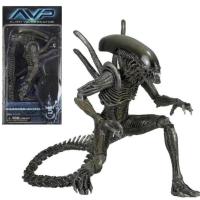 ราคา NECA Alien vs Predator AVP Series 7 Xenomorph Warrior สีดํา 7 นิ้ว Action Figure ของเล่นสะสม (26594329448)