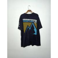 ราคา เสื้อยืดมือสอง งานแบรนด์ แบรนด์สเก็ต แบรนด์กีฬา Fox Vintage, Skatewear (9216777587)