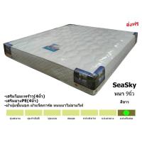 ราคา ✨ใยมะพร้าวเกรดAอย่างหนาแข็งแน่นทนทาน เหมาะสำหรับผู้สูงอายุ✨ที่นอน SeaSky ขนาด3.5/5/6ฟุตหนา 9นิ้ว (29980036416)