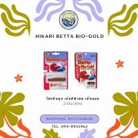 ราคา Hikari Betta Bio-Gold ฮิคาริ เบ็ตต้า ไบโอโกลด์ อาหารปลากัด โปรตีนสูง เร่งสีพิเศษ เม็ดเล็ก ลอยน้ำ (27301107655)