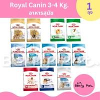 ราคา ( 1 ถุง ) Royal Canin โรยัล คานิน อาหารเม็ดสุนัข Mini Starter Mini Puppy Mini Adult Mini Indoor Mini LightWeight 3-4 Kg (26838817287)