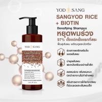 ราคา YODSANG SANGYOD RICE + BIOTIN Densifying Shampoo ขนาด 250ml. แชมพูข้าวสังข์หยด สูตรเพิ่มไบโอติน ลดผมร่วง ยาวไว 2 เท่า (17266858607)