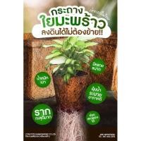 ราคา กระถางใยมะพร้าว 2 นิ้ว กระถางรักษ์โลก กระถางปลูกต้นไม้ย่อยสลายเองได้ (27701387990)