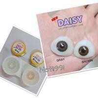 ราคา Daisy eff.16 (Dia14.5) Lollipop ลายใหม่ (8018797055)