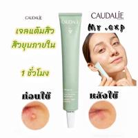 ราคา ครีมแต้มสิว Caudalie นำเข้าจากฝรั่งเศษ สิวยุบภายใน1ชั่วโมง 15ml. รีวิวดัง เห็นผลทันใจ สิวหายในพริบตา (17996062939)