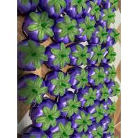 ราคา เหรียญโปรยทานราคาส่ง ราคาถูก #เหรียญโปรยทานสวยๆราคาถูก จัดส่งเร็ว (41351711249)