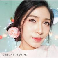 ราคา Lamune /florida /jasmine brown (545422860)