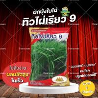ราคา เมล็ดผักบุ้งจีนทิวไผ่เรียว9 ขนาด 1กิโลกรัม อัตราการงอก 85% ตราภูเขาทอง ผักบุ้ง ผักบุ้งจีน (40527193519)