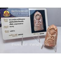 ราคา พระนาคปรก กรุวัดโตนดลาย สมัยรัตนโกสินทร์ตอนต้น เนื้อดิน จ.สมุทรสงคราม (20469332050)