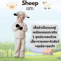ราคา ชุดแกะ ชุดแฟนซีสัตว์แกะ Sheep สำหรับการแสดง ใช้ได้ทั้งเด็กชายหญิง (48807278580)