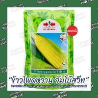 ราคา เมล็ดพันธุ์ข้าวโพดหวาน"จัมโบ้ สวีท" ตราศรแดง 200กรัม (24822008863)