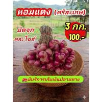 ราคา หอมแดงศรีสะเกษ มัดจุก คละไซส์ 1 กิโล (54807467218)