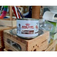 ราคา รอยัลคานินสำหรับสัตว์ป่วย(Royal Canin Veterinary Recovery)กระป๋อง 195g. อาหารเปียกรอยัลคานินสำหรับสุนัข-แมวป่วย (9548228735)