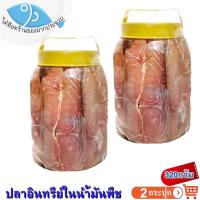 ราคา ไต๋ฮ๊อด ปลาอินทรีย์เค็มในน้ำมันพืช (เล็ก) 320กรัม 2กระปุก ปลาอินรี ปลาอินทรีเค็ม ปลาอินทรีย์น้ำมัน (11910920573)