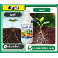 ราคา ฮอร์โมนพืช ฮอร์โมนเร่งผล เร่งราก ปุ๋ยเร่งผลผลผลิตเพิ่มขึ้น บำรุงพืช แบรนด์ Prima Store (25952465133)