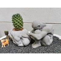 ราคา กระถางปูน เปลือย แนวมินิมอล (21580559662)